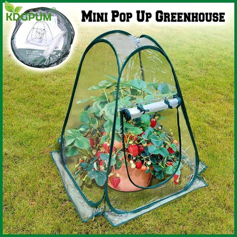 PVC Foldable Greenhouse