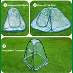 PVC Foldable Greenhouse