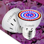 Full Spectrum LED Lamp