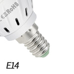 Full Spectrum LED Lamp