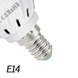 Full Spectrum LED Lamp
