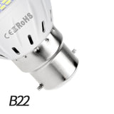 Full Spectrum LED Lamp